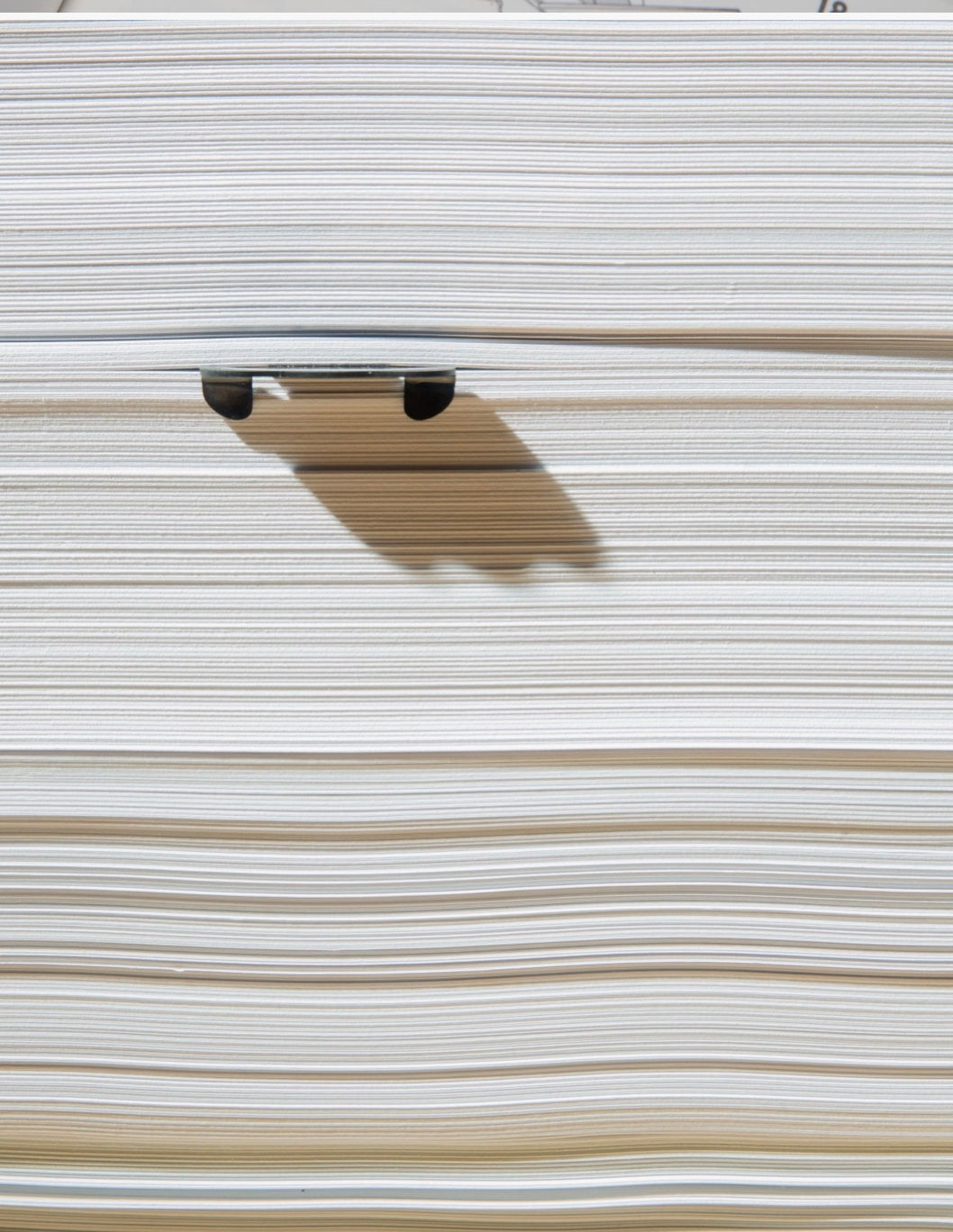 Perch Bookmark
